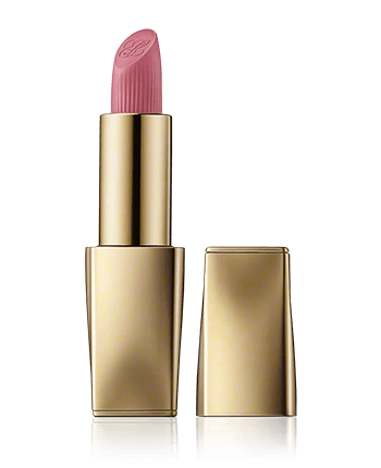 Estée Lauder Pure Color Matte Lipstick 828 In Control (3,5 g)