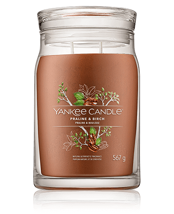 Yankee Candle Signature Praline & Birch (567 g)