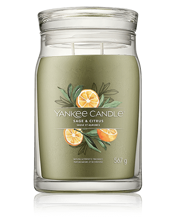 Yankee Candle Signature Sage & Citrus (567 g)