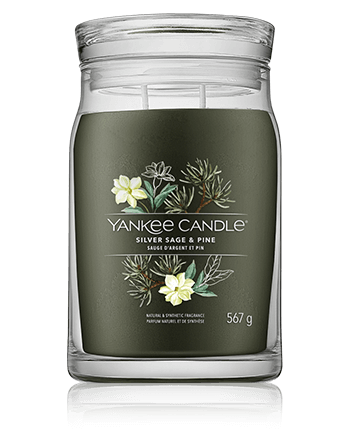 Yankee Candle Signature Silver Sage & Pine (567 g)