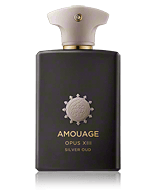 Amouage Library Collection Opus XIII Zilver Oud Eau de Parfum Nevel 100 ml