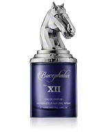 Armaf Bucephalus No. XII Eau de Parfum Spray 100 ml