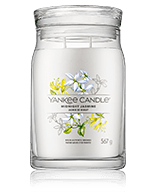 Yankee Candle Signature Midnight Jasmine Geurkaars