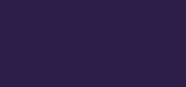 Nail Polish 45 Dark Violet
