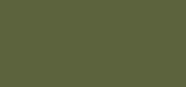 Powder Eye Shadow Dark Green
