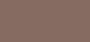 Powder Eye Shadow Mocha