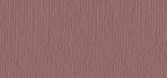 Eye Shadow Duocrome 241 Pearly Warm Brown