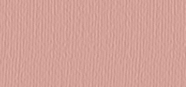 Eye Shadow Matte Colors 541 Matt Portuguese Heir