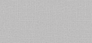 Eye Shadow Pearl Colors 06 Pearly Light Silver Grey