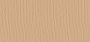Eye Shadow Pearl Colors 217 Pearly Copper Brown