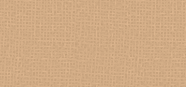 Eye Shadow Pearl Colors 22 Pearly Golden Caramel
