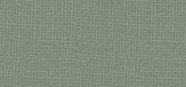 Eye Shadow Pearl Colors 40 Pearly Medium Pine Green