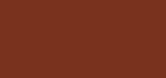 Perfect Color Lipstick 855 Burnt Sienna