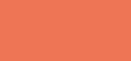Perfect Color Lipstick 860 Dreamy Orange