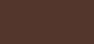 Long-Wear Brow Pencil Warm Dark Brown
