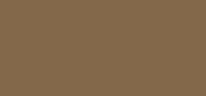 Wonder Sculpt 02 Cool Brown