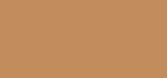 Even Better Makeup SPF 15 WN 115.5 Mocha
