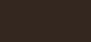 Diorshow Liquid Liner 781 Satin Brown