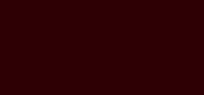 Diorshow Liquid Liner 881 Satin Burgundy