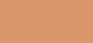 Flawless Finish 06 Gentle Beige