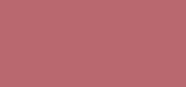 Pure Color Matte Lipstick 669 Stolen Heart