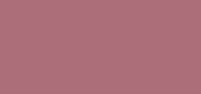 Pure Color Matte Lipstick 809 Secret Scandal