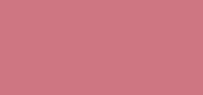 Pure Color Matte Lipstick 855 Risk it All