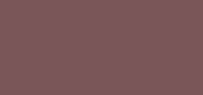 Pure Color Matte Lipstick 860 Sultry