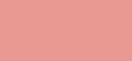 Blush Subtil 02 Rose Sable