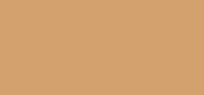 Studio Fix Powder Plus Foundation NC40