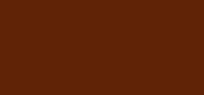 Skin Equal 90 Chestnut