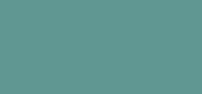 Classics Verde Nice to Meet You