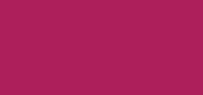 The Kiss Lips Lip Liner 05 Raspberry Red