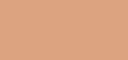 Cellular Performance Total Finish TF 13 Warm Beige