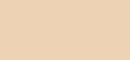 Synchro Skin Correcting GelStick Concealer 101 Fair/Tres Clair