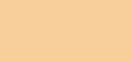 Synchro Skin Self-Refreshing Concealer 201 Light