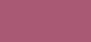 Lip Color Satin Matte Eleven Eleven