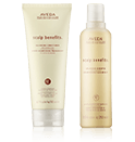 Aveda Scalp Benefits
