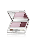 Clinique All About Shadow Duo