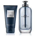 Coach Open Road