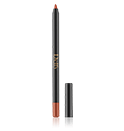 Delfy Cosmetics Lipliner Waterproof