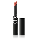 Dior Rouge Dior on Stage Shine