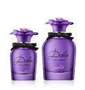 Dolce & Gabbana Dolce Violet