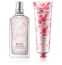 L'Occitane Rose