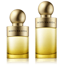 Scotch & Soda Island Water Women
