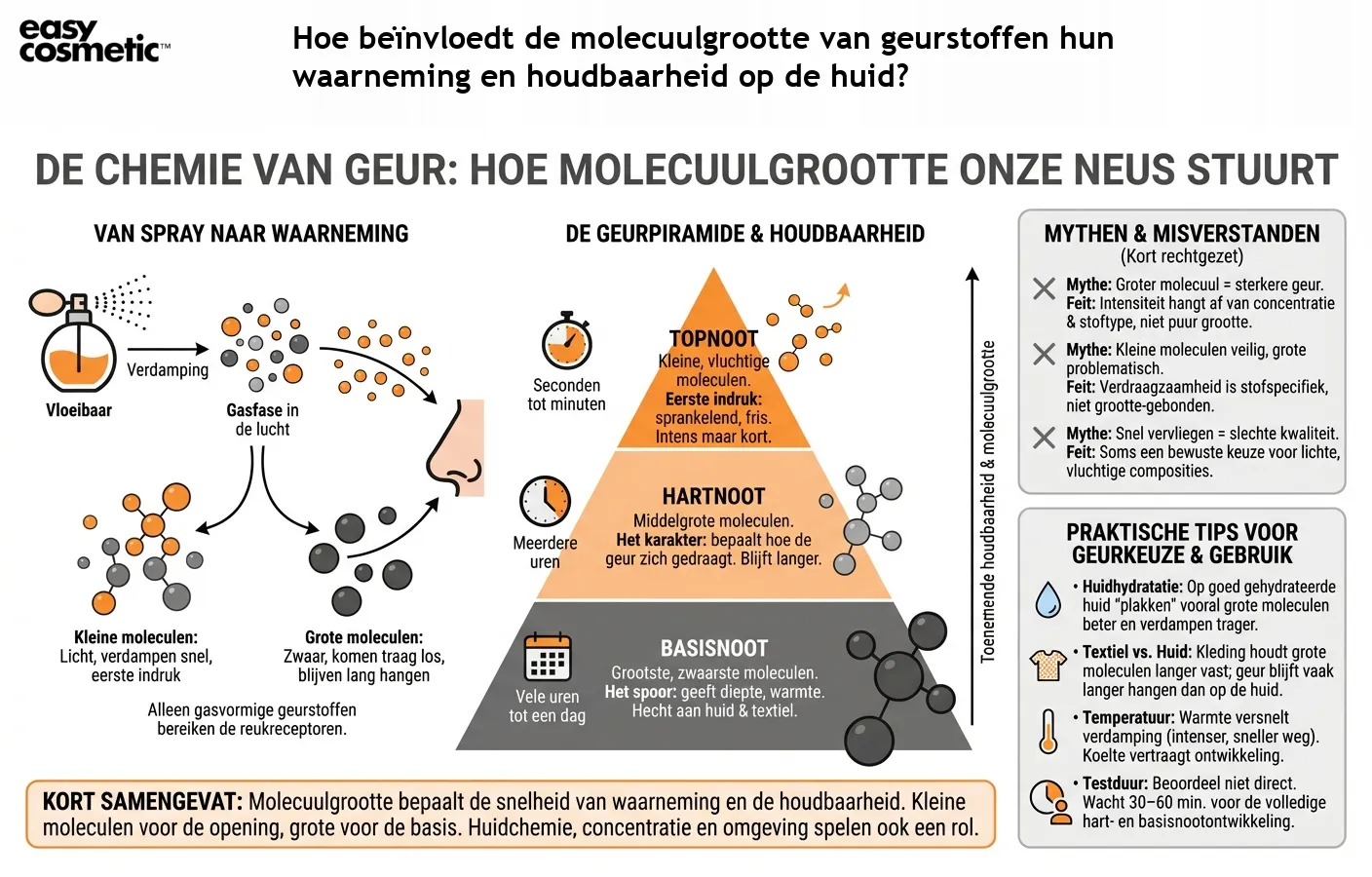 Hoe beïnvloedt de molecuulgrootte van geurstoffen hun waarneming en houdbaarheid op de huid?