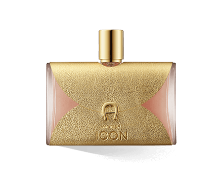 Aigner Icon