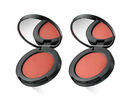 Bobbi Brown Pot Rouge for Lips and Cheeks