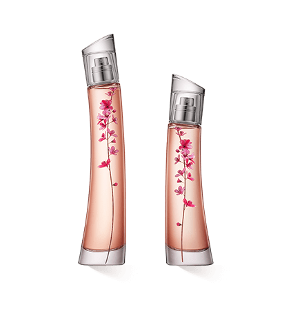 Kenzo Flower Ikebana by Kenzo